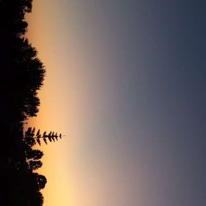 Meet your Posher, Vince